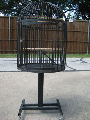 Parrot cage repair
